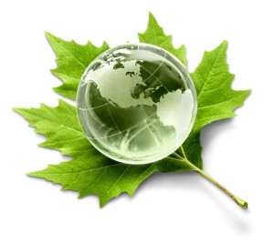Alternative Energy, Environment, Earth.